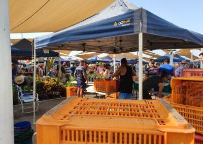 Various stalls at the market